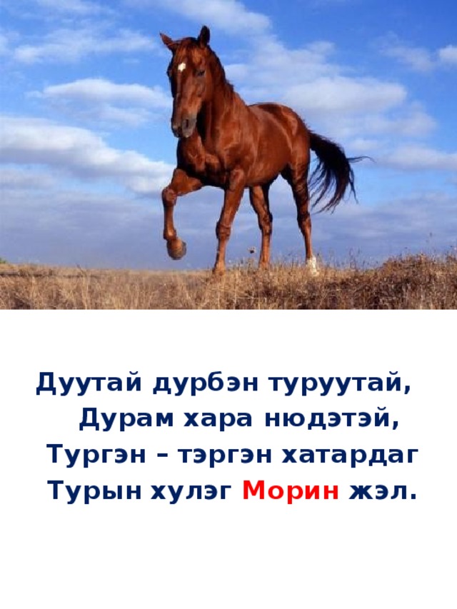 Дуутай дурбэн туруутай,   Дурам хара нюдэтэй,   Тургэн – тэргэн хатардаг   Турын хулэг Морин жэл. 
