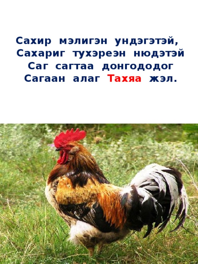 Сахир мэлигэн ундэгэтэй,  Сахариг тухэреэн нюдэтэй  Саг сагтаа донгододог    Сагаан алаг Тахяа жэл.   