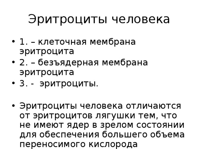 Эритроциты человека 1. – клеточная мембрана эритроцита 2. – безъядерная мембрана эритроцита 3. - эритроциты. Эритроциты человека отличаются от эритроцитов лягушки тем, что не имеют ядер в зрелом состоянии для обеспечения большего объема переносимого кислорода 
