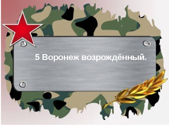 5 Воронеж возрождённый.