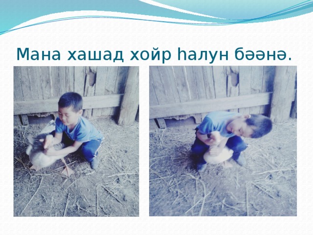 Mана хашад хойр hалун бәәнә.  