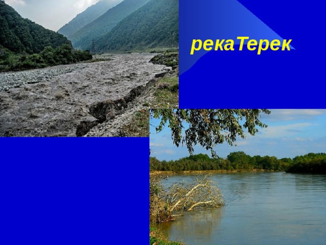 рекаТерек  