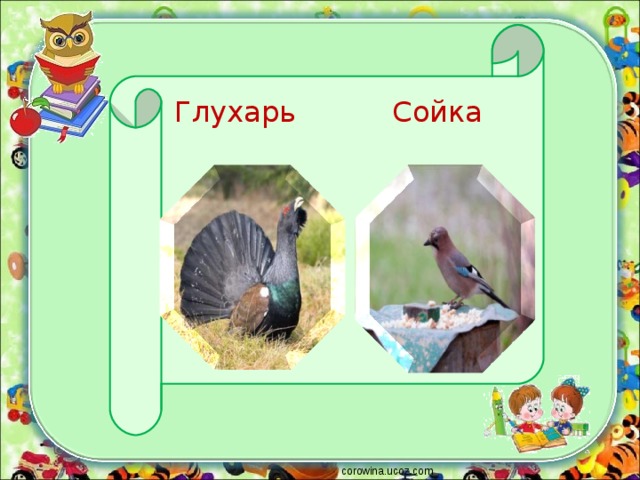  Глухарь Сойка corowina.ucoz.com 