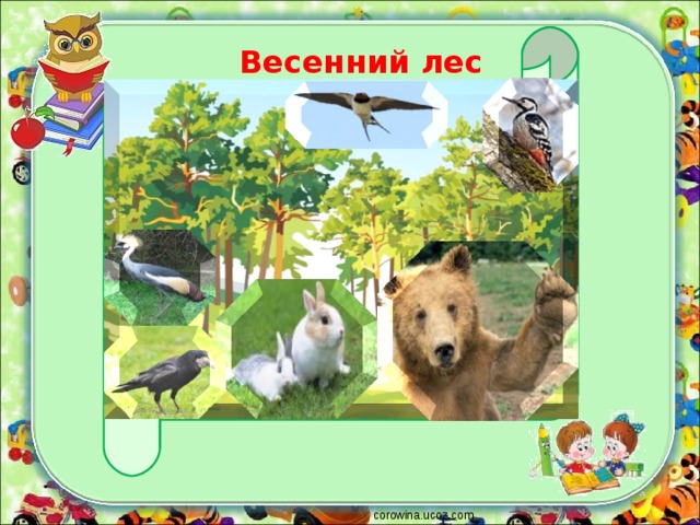 Весенний лес corowina.ucoz.com 