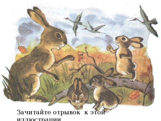 Зачитайте отрывок к этой иллюстрации 