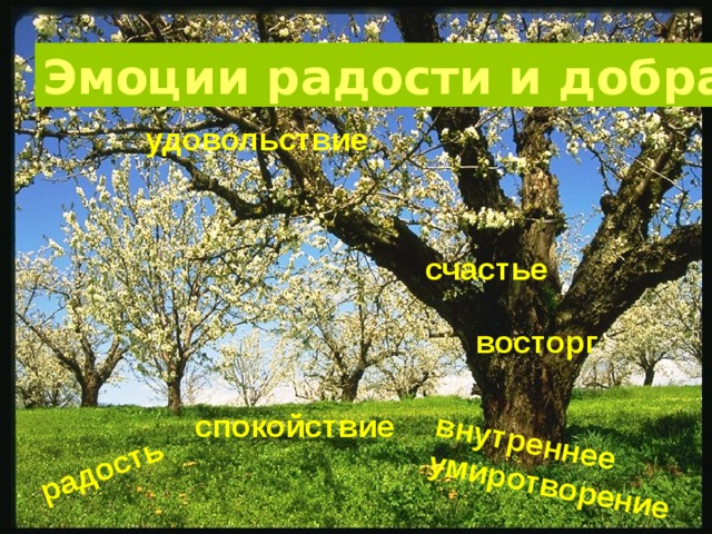 радость внутреннее умиротворение Эмоции радости и добра удовольствие счастье восторг спокойствие 