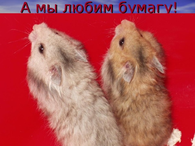 A мы любим бумагу! 