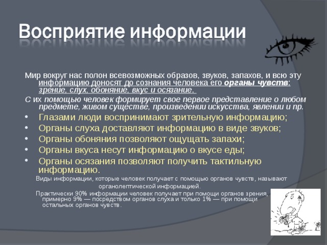 Мир вокруг нас полон всевозможных образов, звуков, запахов, и всю эту информацию доносят до сознания человека его органы чувств : зрение, слух, обоняние, вкус и осязание . С их помощью  человек формирует свое первое представление о любом предмете, живом существе, произведении искусства, явлении и пр. Глазами люди воспринимают зрительную информацию; Органы слуха доставляют информацию в виде звуков; Органы обоняния позволяют ощущать запахи; Органы вкуса несут информацию о вкусе еды; Органы осязания позволяют получить тактильную информацию.  Виды информации, которые человек получает с помощью органов чувств, называют  органолептической информацией.  Практически 90% информации человек получает при помощи органов зрения,  примерно 9% — посредством органов слуха и только 1% — при помощи  остальных органов чувств. 