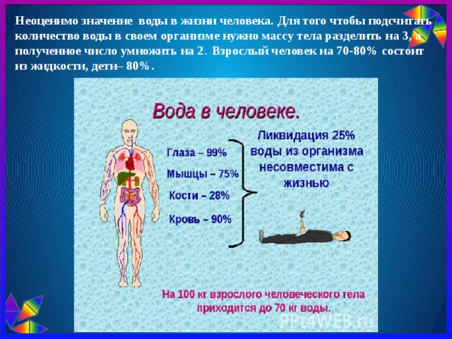 Неоценимо значение  воды в жизни человека. Для того чтобы подсчитать количество воды в своем организме нужно массу тела разделить на 3, а полученное число умножить на 2 . Взрослый человек на 70-80% состоит из жидкости, дети– 80%. 