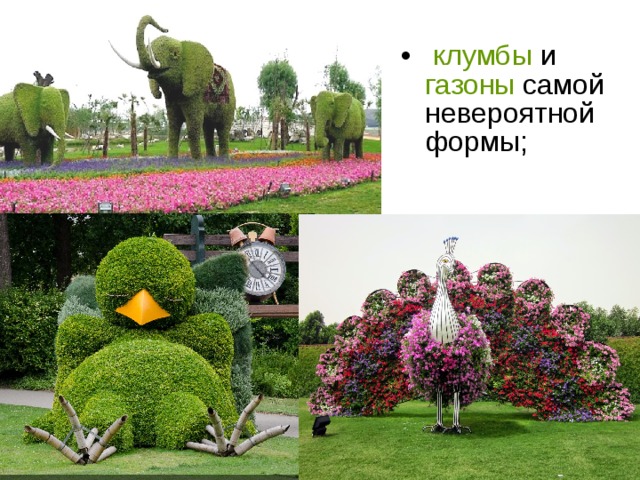 клумбы газоны 