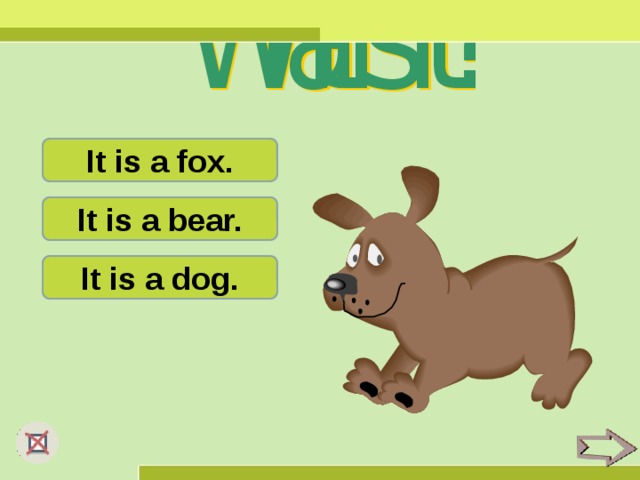 It is a fox. It is a bear. It is a dog.