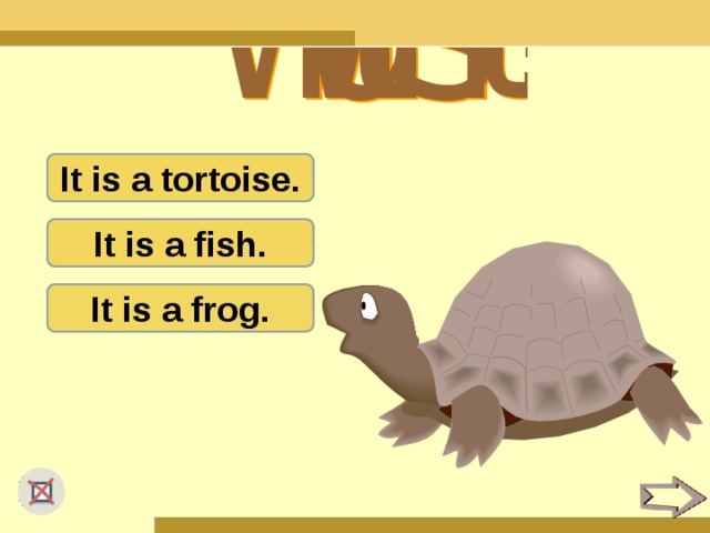 It is a tortoise. It is a fish. It is a frog.
