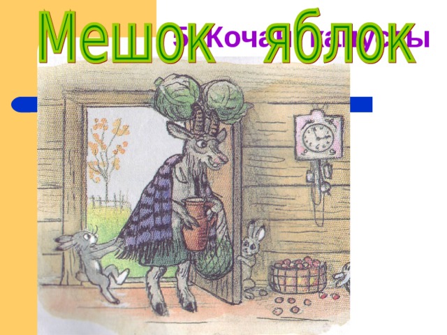 5. Кочан капусты