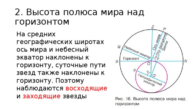 2. Высота полюса мира над горизонтом На средних географических широтах ось мира и небесный экватор наклонены к горизонту, суточные пути звезд также наклонены к горизонту. Поэтому наблюдаются восходящие и заходящие звезды 