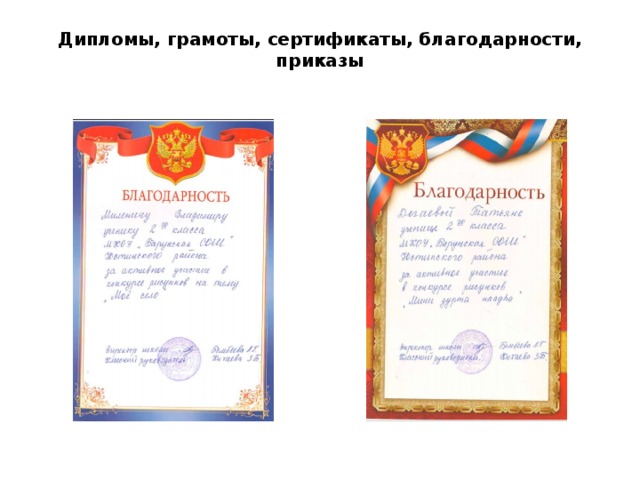 Дипломы, грамоты, сертификаты, благодарности, приказы   