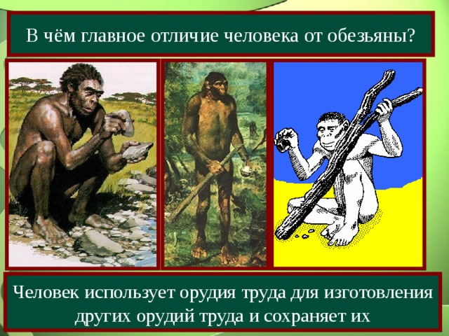 В чём главное отличие человека от обезьяны? Человек использует орудия труда для изготовления других орудий труда и сохраняет их 