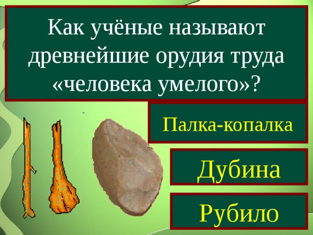 Как учёные называют древнейшие орудия труда «человека умелого»? Палка-копалка Дубина Рубило 