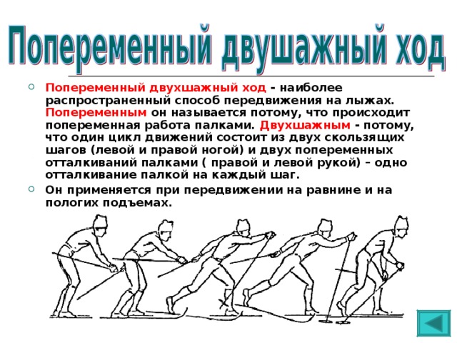 Попеременный двухшажный ход - наиболее распространенный способ передвижения на лыжах. Попеременным он называется потому, что происходит попеременная работа палками. Двухшажным - потому, что один цикл движений состоит из двух скользящих шагов (левой и правой ногой) и двух попеременных отталкиваний палками ( правой и левой рукой) – одно отталкивание палкой на каждый шаг. Он применяется при передвижении на равнине и на пологих подъемах. 