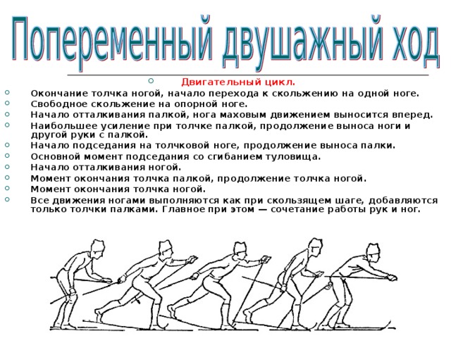 Двигательный цикл. Окончание толчка ногой, начало перехода к скольжению на одной ноге. Свободное скольжение на опорной ноге. Начало отталкивания палкой, нога маховым движением выносится вперед. Наибольшее усиление при толчке палкой, продолжение выноса ноги и другой руки с палкой. Начало подседания на толчковой ноге, продолжение выноса палки. Основной момент подседания со сгибанием туловища. Начало отталкивания ногой. Момент окончания толчка палкой, продолжение толчка ногой. Момент окончания толчка ногой. Все движения ногами выполняются как при скользящем шаге, добавляются только толчки палками. Главное при этом — сочетание работы рук и ног. 