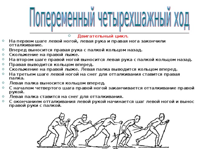 Двигательный цикл. На первом шаге левой ногой, левая рука и правая нога закончили отталкивание. Вперед выносится правая рука с палкой кольцом назад. Скольжение на правой лыже. На втором шаге правой ногой выносится левая рука с палкой кольцом назад. Правая выводится кольцом вперед. Скольжение на правой лыже. Левая палка выводится кольцом вперед. На третьем шаге левой ногой на снег для отталкивания ставится правая палка. Левая палка выносится кольцом вперед. С началом четвертого шага правой ногой заканчивается отталкивание правой рукой. Левая палка ставится на снег для отталкивания. С окончанием отталкивания левой рукой начинается шаг левой ногой и вынос правой руки с палкой.   
