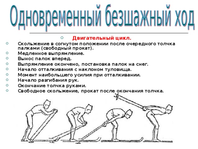 Двигательный цикл. Скольжение в согнутом положении после очередного толчка  палками (свободный прокат). Медленное выпрямление. Вынос палок вперед. Выпрямление окончено, постановка палок на снег. Начало отталкивания с наклоном туловища. Момент наибольшего усилия при отталкивании. Начало разгибания рук. Окончание толчка руками. Свободное скольжение, прокат после окончания толчка.   