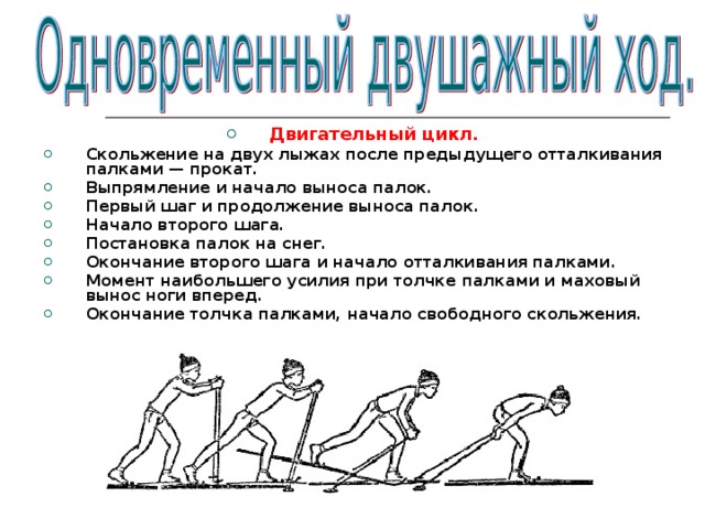 Двигательный цикл. Скольжение на двух лыжах после предыдущего отталкивания палками — прокат. Выпрямление и начало выноса палок. Первый шаг и продолжение выноса палок. Начало второго шага. Постановка палок на снег. Окончание второго шага и начало отталкивания палками. Момент наибольшего усилия при толчке палками и маховый  вынос ноги вперед. Окончание толчка палками, начало свободного скольжения.  