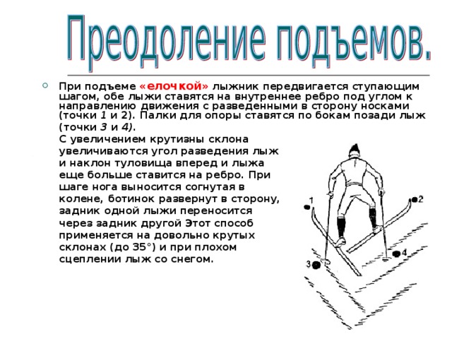 При подъеме «елочкой» лыжник передвигается ступающим шагом, обе лыжи ставятся на внутреннее ребро под углом к направлению движения с разведенными в сторону носками (точки 1 и 2). Палки для опоры ставятся по бокам позади лыж  (точки 3 и 4).  С увеличением крутизны склона  увеличиваются угол разведения лыж  и наклон туловища вперед и лыжа  еще больше ставится на ребро. При  шаге нога выносится согнутая в  колене, ботинок развернут в сторону,  задник одной лыжи переносится  через задник другой Этот способ  применяется на довольно крутых  склонах (до 35°) и при плохом  сцеплении лыж со снегом. 
