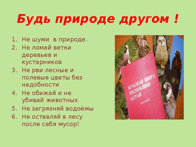 Будь природе другом ! Не шуми в природе. Не ломай ветки деревьев и кустарников Не рви лесные и полевые цветы без надобности Не обижай и не убивай животных Не загрязняй водоёмы Не оставляй в лесу после себя мусор! 
