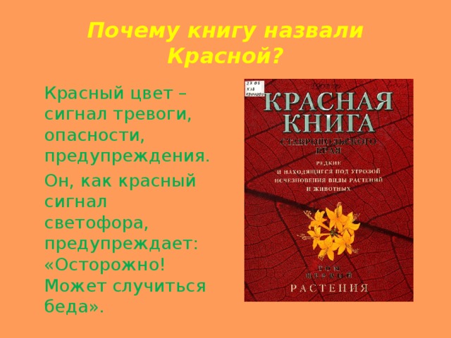 Почему книгу назвали Красной?  Красный цвет – сигнал тревоги, опасности, предупреждения.  Он, как красный сигнал светофора, предупреждает: «Осторожно! Может случиться беда». 