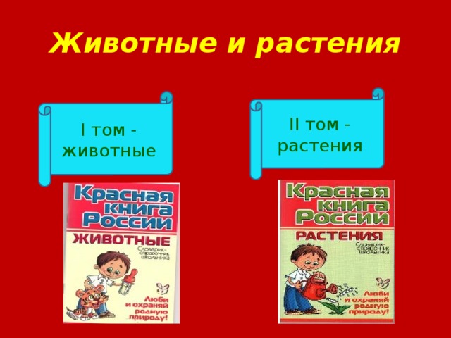 Животные и растения II том - растения I том - животные 