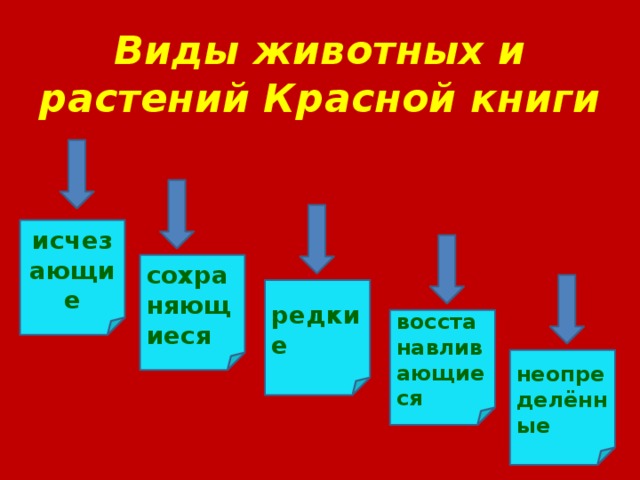 Виды животных и растений Красной книги исчезающие сохраняющиеся редкие восстанавливающиеся неопределённые 