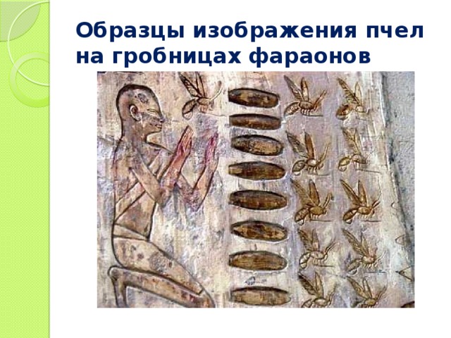 Образцы изображения пчел на гробницах фараонов 