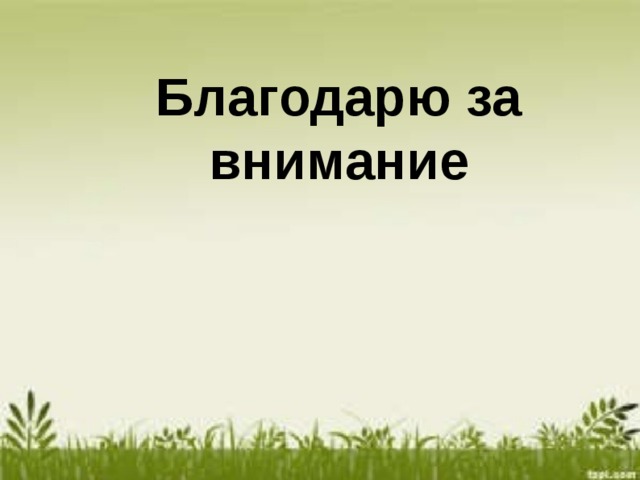 Благодарю за внимание  