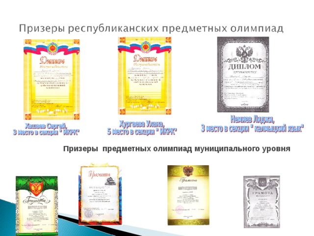 Призеры предметных олимпиад муниципального уровня 