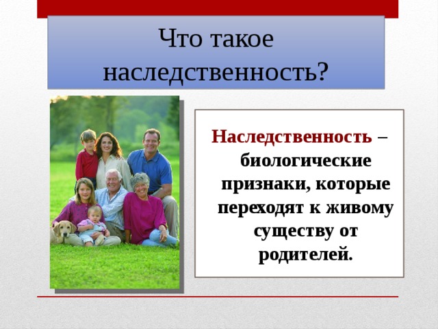Что такое наследственность? Наследственность – биологические признаки, которые переходят к живому существу от родителей. 
