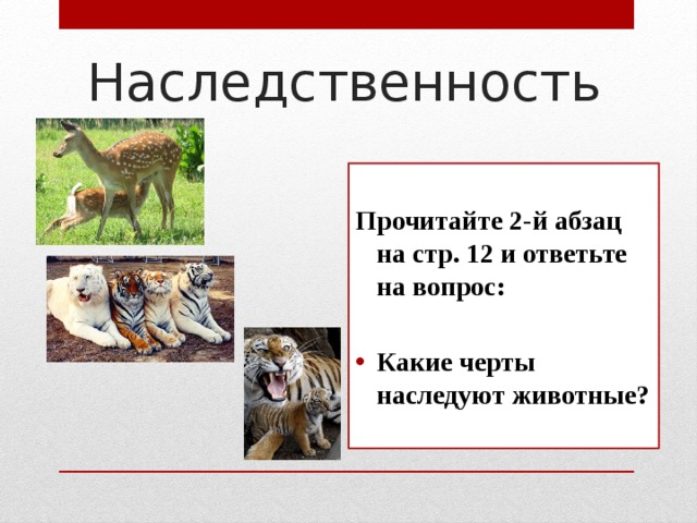 Наследственность Прочитайте 2-й абзац на стр. 12 и ответьте на вопрос:  Какие черты наследуют животные? 