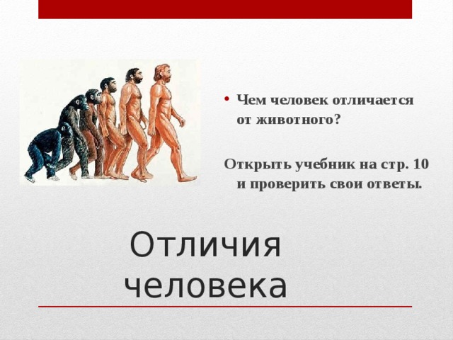  Чем человек отличается от животного?  Открыть учебник на стр. 10 и проверить свои ответы. Отличия человека 
