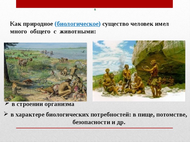 . Как природное ( биологическое ) существо человек имел много  общего  с животными: в строении организма в характере биологических потребностей: в пище, потомстве, безопасности и др.  