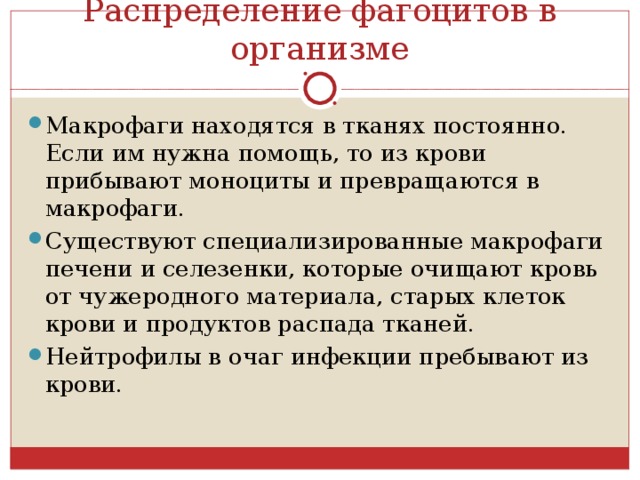 Распределение фагоцитов в организме Макрофаги находятся в тканях постоянно. Если им нужна помощь, то из крови прибывают моноциты и превращаются в макрофаги. Существуют специализированные макрофаги печени и селезенки, которые очищают кровь от чужеродного материала, старых клеток крови и продуктов распада тканей. Нейтрофилы в очаг инфекции пребывают из крови. 