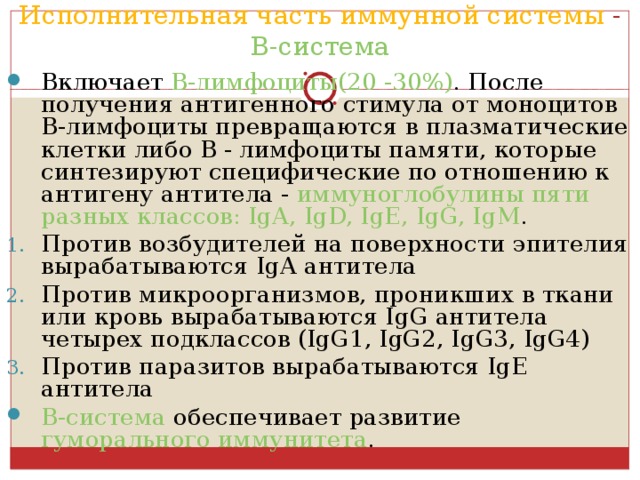Исполнительная часть иммунной системы - В-система Включает В-лимфоциты(20 -30%) . После получения антигенного стимула от моноцитов В-лимфоциты превращаются в плазматические клетки либо В - лимфоциты памяти, которые синтезируют специфические по отношению к антигену антитела - иммуноглобулины пяти разных классов: IgA, IgD, IgE, IgG, IgM . Против возбудителей на поверхности эпителия вырабатываются IgA антитела Против микроорганизмов, проникших в ткани или кровь вырабатываются IgG антитела четырех подклассов (IgG1, IgG2, IgG3, IgG4) Против паразитов вырабатываются IgE антитела В-система обеспечивает развитие гуморального иммунитета . 