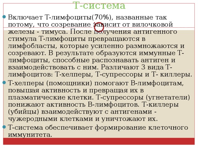 Т-система Включает Т-лимфоциты(70%), названные так потому, что созревание зависит от вилочковой железы - тимуса. После получения антигенного стимула Т-лимфоциты превращаются в лимфобласты, которые усиленно размножаются и созревают. В результате образуются иммунные Т-лимфоциты, способные распознавать антиген и взаимодействовать с ним. Различают 3 вида Т-лимфоцитов: Т-хелперы, Т-супрессоры и Т- киллеры. Т-хелперы (помощники) помогают В-лимфоцитам, повышая активность и превращая их в плазматические клетки. Т-супрессоры (угнетатели) понижают активность В-лимфоцитов. Т-киллеры (убийцы) взаимодействуют с антигенами - чужеродными клетками и уничтожают их. Т-система обеспечивает формирование клеточного иммунитета. 