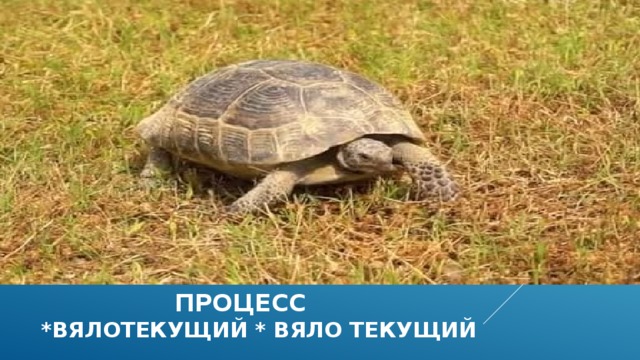  процесс  *вялотекущий * вяло текущий 