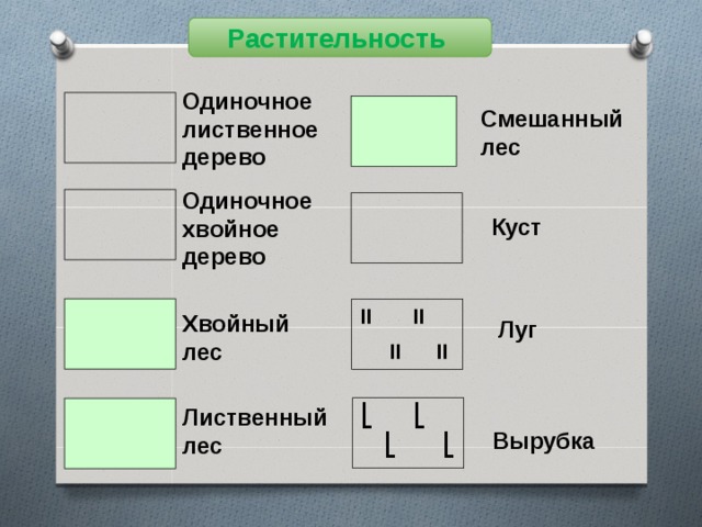 Растительность Одиночное лиственное дерево Смешанный лес Одиночное хвойное дерево Куст Хвойный лес Луг Лиственный лес Вырубка 