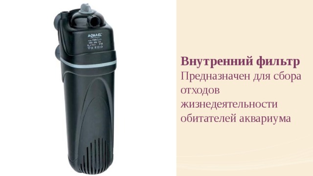 Внутренний фильтр Предназначен для сбора отходов жизнедеятельности обитателей аквариума 