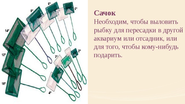 Сачок Необходим, чтобы выловить рыбку для пересадки в другой аквариум или отсадник, или для того, чтобы кому-нибудь подарить. 