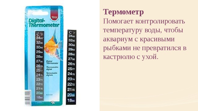 Термометр Помогает контролировать температуру воды, чтобы аквариум с красивыми рыбками не превратился в кастрюлю с ухой. 