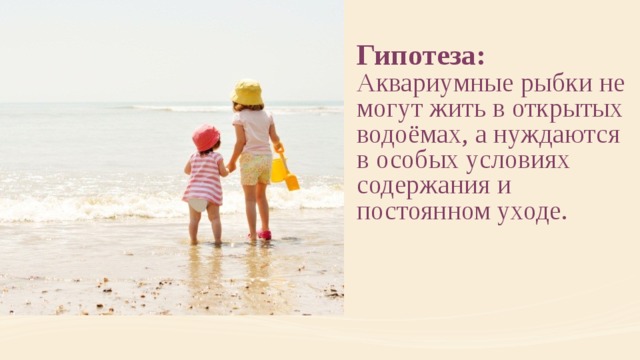 Гипотеза:  Аквариумные рыбки не могут жить в открытых водоёмах, а нуждаются в особых условиях содержания и постоянном уходе.    