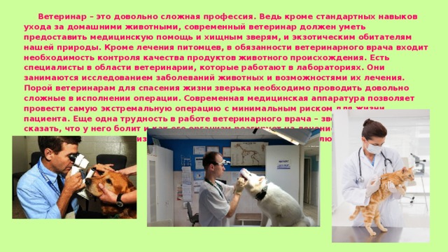  Ветеринар – это довольно сложная профессия. Ведь кроме стандартных навыков ухода за домашними животными, современный ветеринар должен уметь предоставить медицинскую помощь и хищным зверям, и экзотическим обитателям нашей природы. Кроме лечения питомцев, в обязанности ветеринарного врача входит необходимость контроля качества продуктов животного происхождения. Есть специалисты в области ветеринарии, которые работают в лабораториях. Они занимаются исследованием заболеваний животных и возможностями их лечения. Порой ветеринарам для спасения жизни зверька необходимо проводить довольно сложные в исполнении операции. Современная медицинская аппаратура позволяет провести самую экстремальную операцию с минимальным риском для жизни пациента. Еще одна трудность в работе ветеринарного врача – зверь не может сказать, что у него болит и как его организм реагирует на лечение. Ветеринар может только по вторичным признакам диагностировать болезнь, наблюдая результаты анализов. 