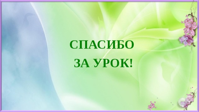 СПАСИБО  ЗА УРОК! 