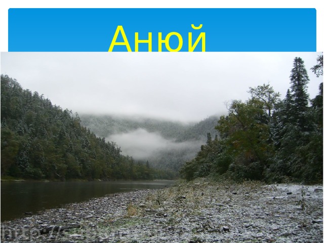 Анюй     